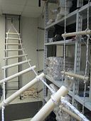 Лестница навесная хозяйственная «ЛНХ» 8 метров